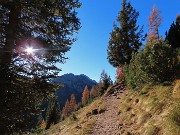 PIETRA QUADRA (2376 m) colorata d’autunno dalle Baite di Mezzeno-4nov24 -  FOTOGALLERY